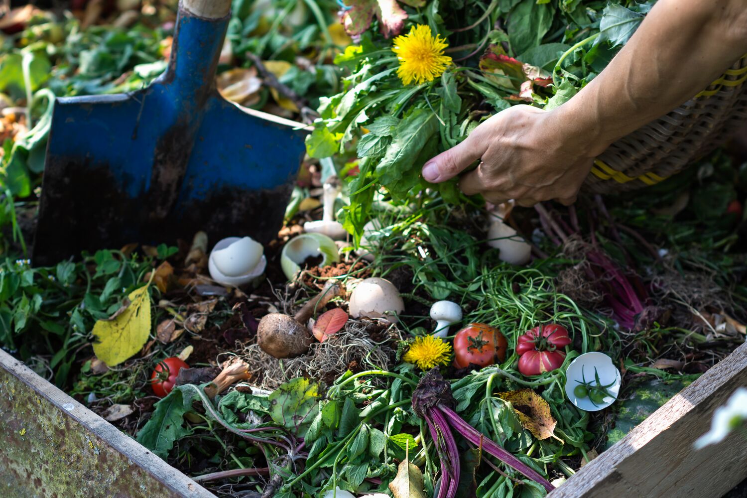 Large-Seezon-10-golden-rules-for-successful-composting-1