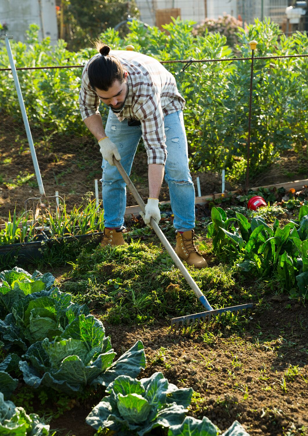 Large-Seezon &#8211; Weeding advice ( vegetable patch
