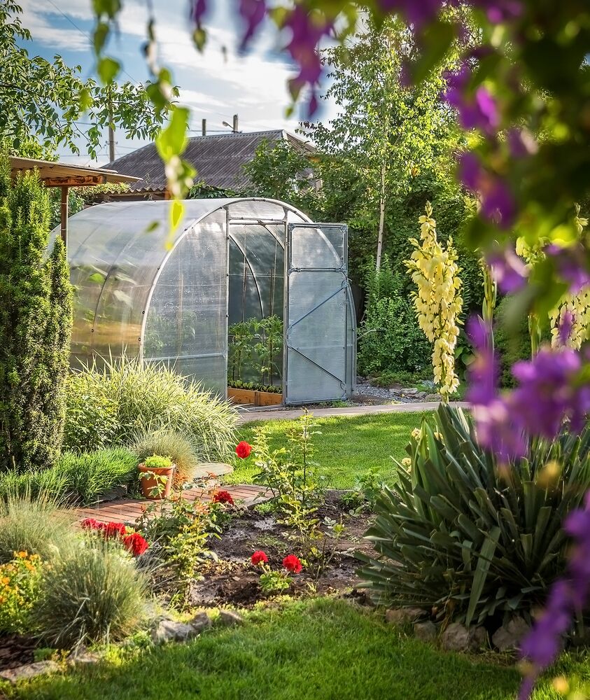 Medium-Seezon - greenhouse in garden serre