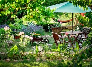 Thumbnail-Seezon - how to have a beautiful garden all summer long 1