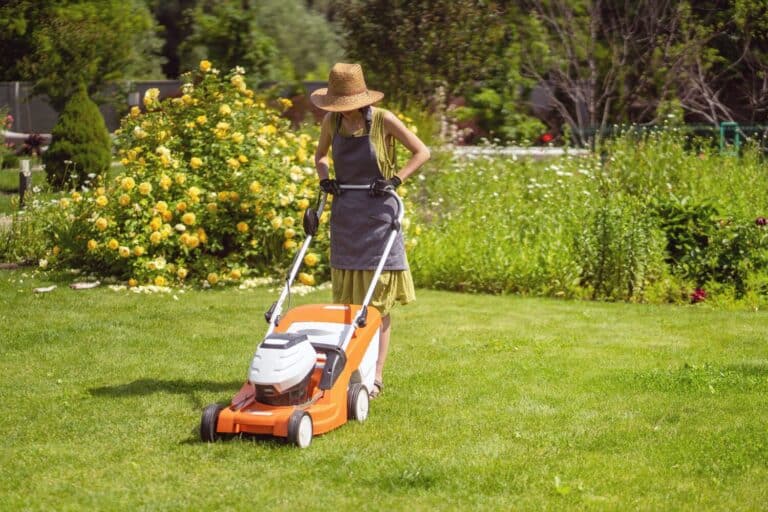 Large-Seezon &#8211; How to properly mow your lawn 2 &#8211; women lawnmower