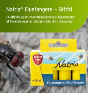 Natria® Fluefangere, 4-pak
